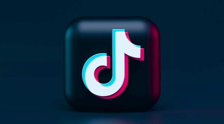 Guida Completa alla Gestione di un Profilo TikTok: Buone Pratiche e Modi per Aumentare i Follower