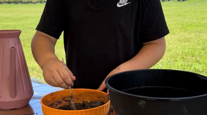 Palline di semi di girasole, il nuovo laboratorio per bambini di Steflor