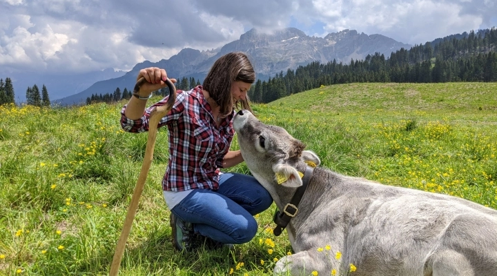 Vacanze in alta quota: per “Think Milk, Taste Europe, Be Smart” un’opportunità per conoscere il latte di montagna e i suoi formaggi DOP 