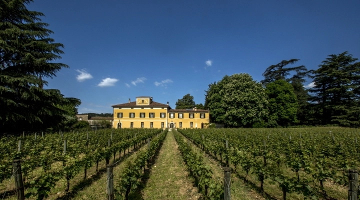 FESTIVAL FRANCIACORTA IN CANTINA: TRE GIORNI PER SCOPRIRE LO STILE MOSNEL