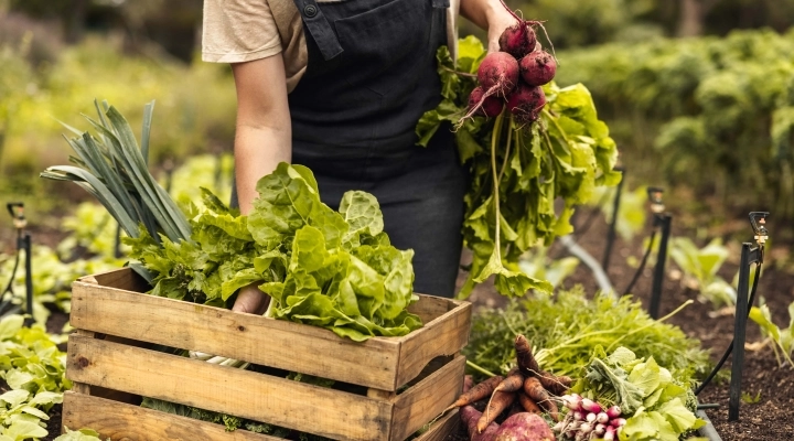 Frutta e Verdura superstar dell’estate:  cosa mangiare durante i mesi più caldi? Lo rivela lo studio.