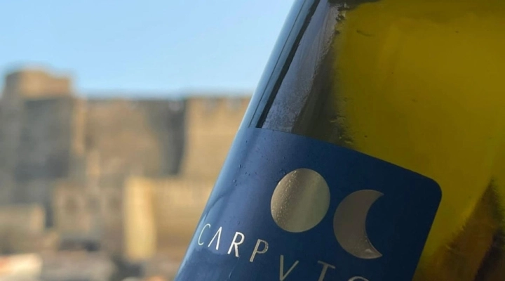 Vini in affinamento nelle acque di Napoli: a Castel dell'Ovo cerimonia di immersione per il trentennale di Cantine Carputo