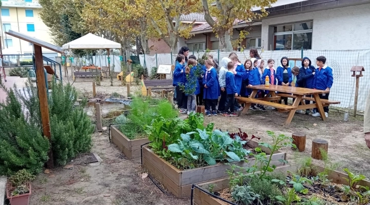 220 piccoli alunni a scuola nel verde: apre a Viareggio l’Aula Natura di WWF e P&G Italia