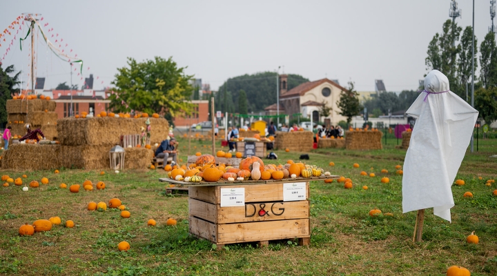 Festa di Halloween nel campo di zucche di Agricola delle Meraviglie