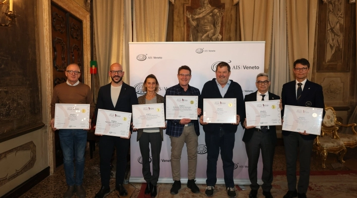 Presentata Vinetia – La Guida ai Vini del Veneto di AIS Veneto: due vini dolci conquistano giornalisti e ristoratori