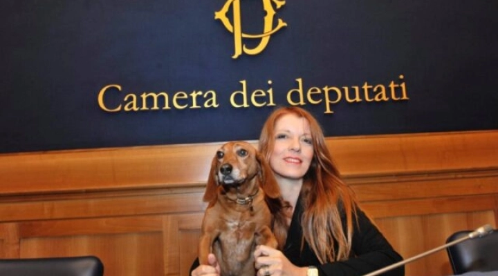 CAMERA APPROVA PENE PIU’ SEVERE PER REATI CONTRO GLI ANIMALI, ON. BRAMBILLA: “UNA RIVOLUZIONE”