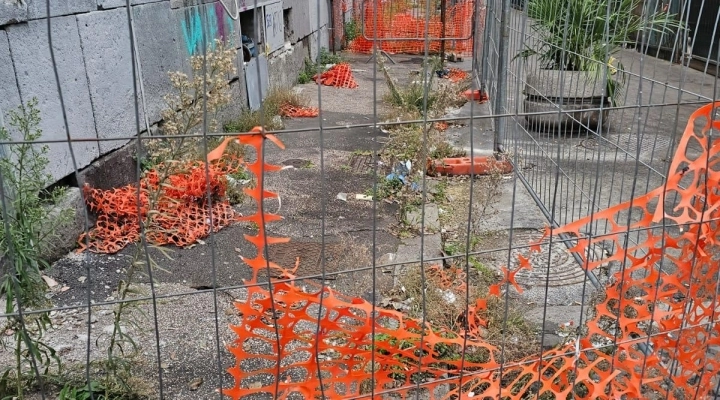 Carlo Spinelli ( IdD ), via Nino Bixio a Roma isola pedonale per topi