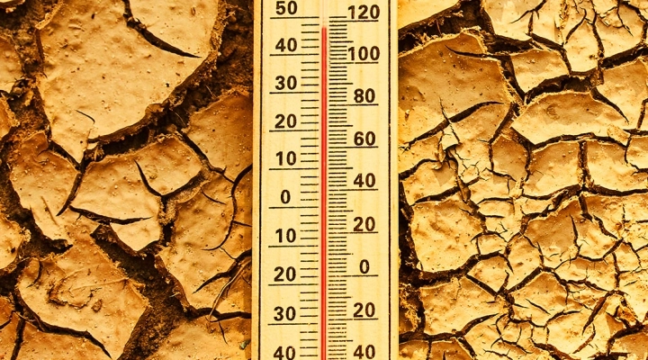 Vino e clima: come l'aumento delle temperature sta cambiando il gusto degli italiani secondo Vino.com