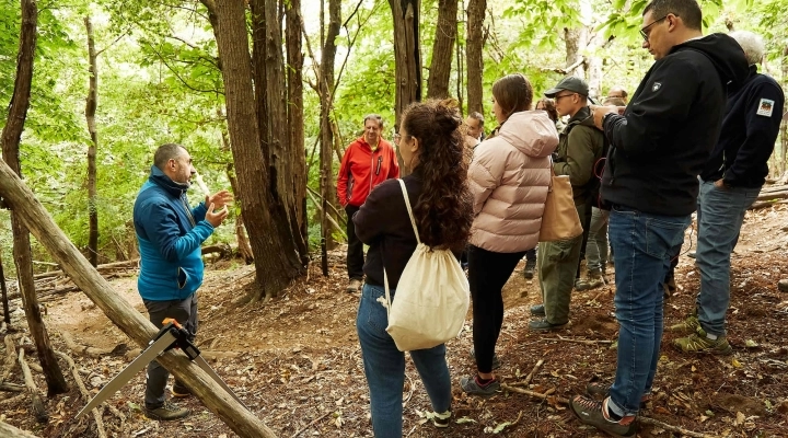 L’unione fa la forza: l’associazionismo come opportunità per la gestione attiva delle foreste