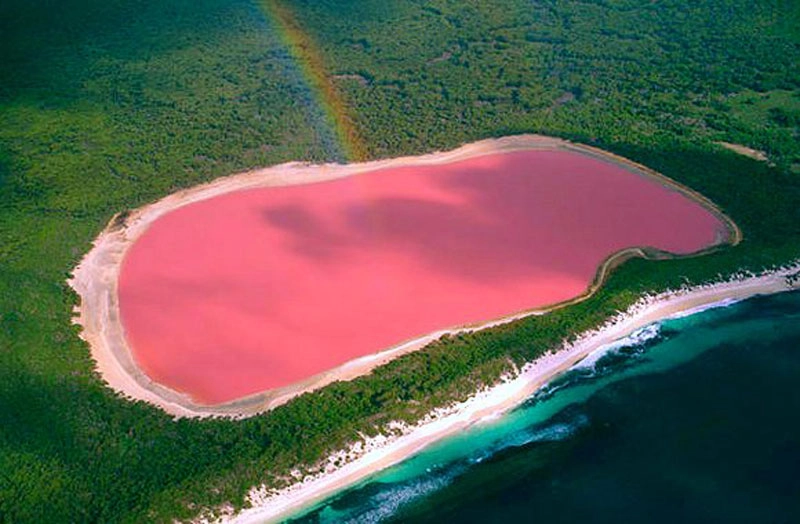 Il lago rosa dell'Australia