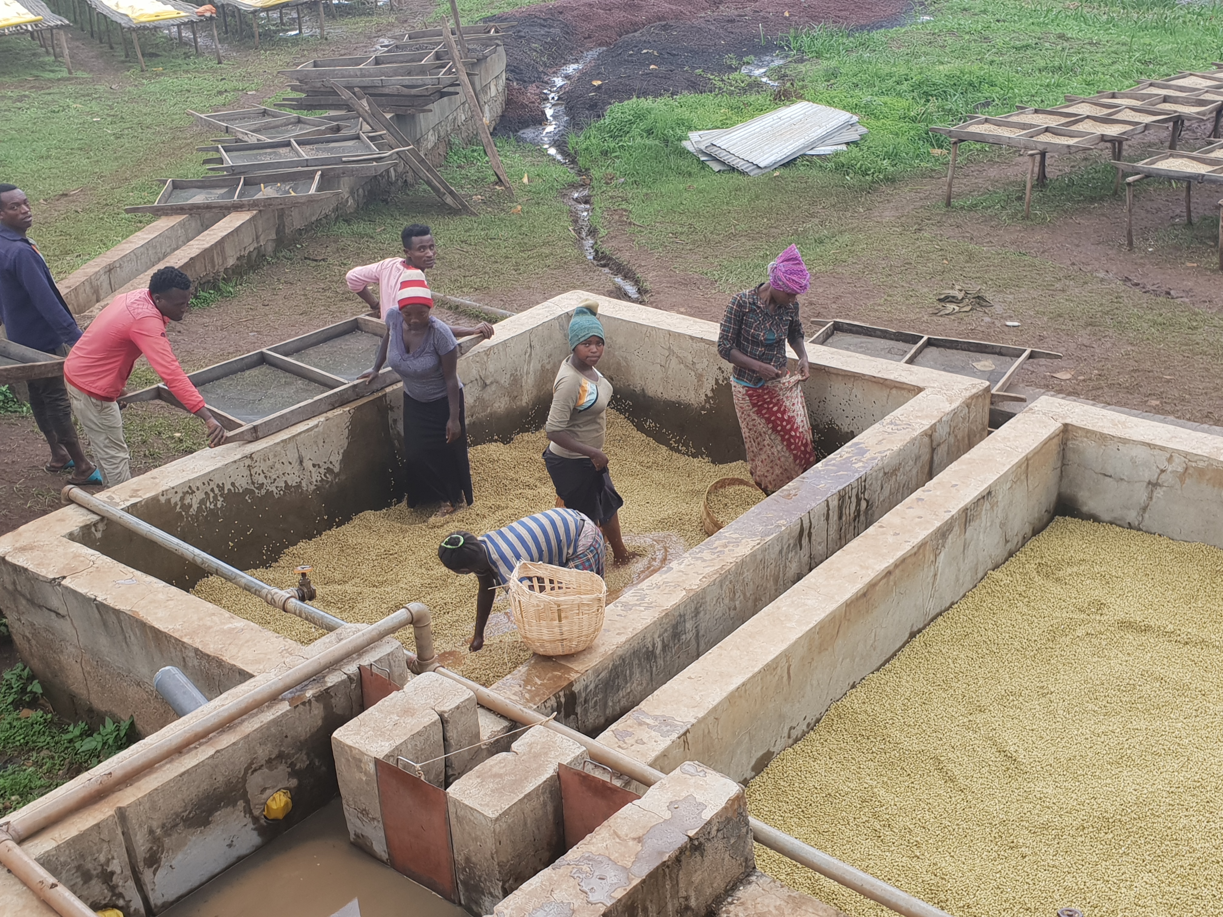 In Etiopia con CSC, il  fascino della terra d’origine del caffè