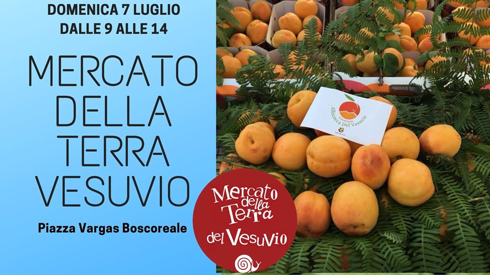 - Boscoreale: Mercato della Terra Vesuvio con la Giornata del 7 Luglio dedicata all’Albicocca. (Scritto da Antonio Castaldo)