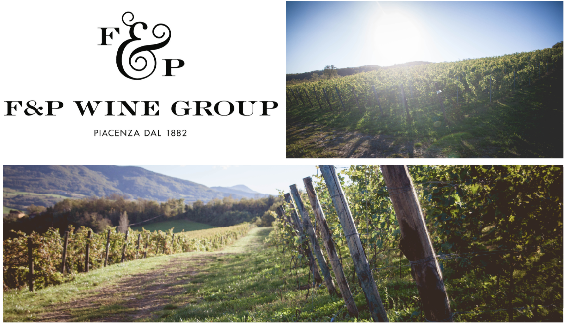 Un’ottima annata per F&P Wine Group: la vendemmia 2019 si preannuncia perfetta