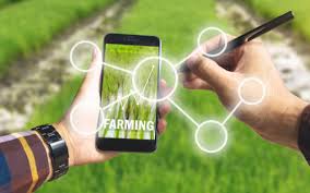 “Macchinari Innovativi”, il nuovo bando per la digitalizzazione dell’agroalimentare