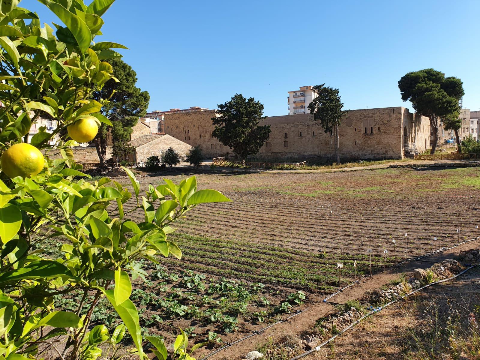 IL RUOLO DEI BENI SOCIALI E CULTURALI PER LO SVILUPPO DEL TERRITORIO E  LA VALORIZZAZIONE DEL PARCO ANTICO DI MAREDOLCE, UN SEMINARIO A PALERMO