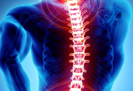 Igiene vertebrale: come prevenire i disturbi muscolo scheletrici