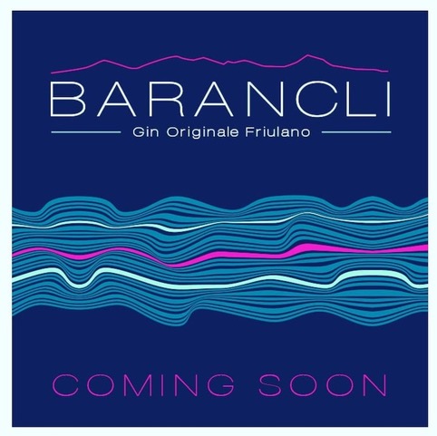   Barancli, il gin 100% del Friuli, come il creatore ​Michele Piagno