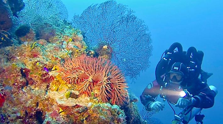  D Sheikh Coast Diving Center (Domina Coral Bay), all'EUDI di Bologna tante novità