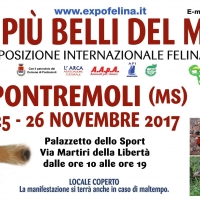 Sabato 25 e domenica 26 Novembre il Palazzetto dello Sport di PONTREMOLI (Ms) ospiterà  I Gatti Più Belli del Mondo e i Rettili più Affascinanti della Terra.