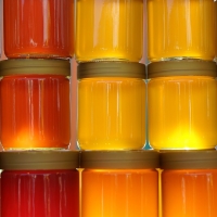 La qualità del miele italiano