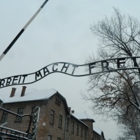 Auschwitz: Un pensiero per la Giornata della Memoria 1945-2018. (Scritto da Antonio Castaldo)
