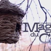 MAGASIN DU CAFE' presentano il primo video tratto dal loro album LANDSCAPE... 