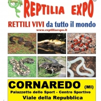 REPTILIA EXPO: l'affascinante mondo dei rettili al Palazzetto dello Sport di Cornaredo (Milano)