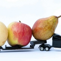 Logistica inversa: l’importanza del Food Logistics Management