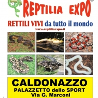 REPTILIA EXPO - L'affascinante mondo dei rettili a CALDONAZZO (Trento) dal 3 al 20 Agosto