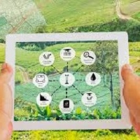 Digitalizzazione e precisione: la nuova frontiera dell’agricoltura 4.0