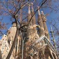 Il pavimento galleggiante arriva alla Sagrada Familia