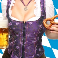 Birra, piatti tipici, concerti e fiumi di birra. Dal 22 settembre al 7 ottobre va in scena la festa più famosa della Germania