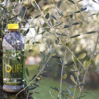 Affrontare l’autunno facendo il pieno di antiossidanti:  dalla natura ci viene in aiuto l’Infuso di Foglie d’Olivo
