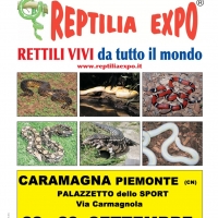 REPTILIA EXPO - L'affascinante mondo dei rettili al Palasport di CARAMAGNA PIEMONTE