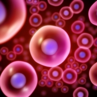 Conservazione delle cellule staminali del cordone: il perché di una scelta consapevole