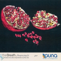 GUNA respira con theBreath®. Il primo caso di applicazione del rivoluzionario materiale tessile in grado di assorbire le particelle inquinanti dell’aria indoor e outdoor negli ambienti di un’azienda 