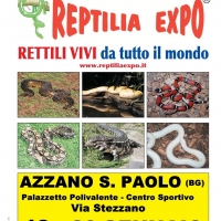 L'affascinante mondo dei rettili in Mostra al Palazzetto dello Sport di Azzano San Paolo (Bergamo)