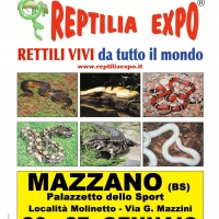 L'affascinante mondo dei rettili in Mostra al Palazzetto dello Sport di Mazzano (Brescia)