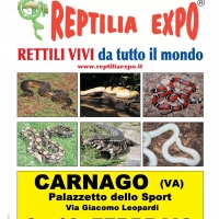 L'affascinante mondo dei rettili in Mostra al Palasport di CARNAGO (Va)