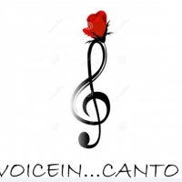“VOICEIN…CANTO”: appuntamento al 19 maggio per la Prima Edizione del contest canoro!