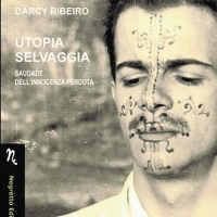 Intervista di Alessia Mocci alla Fondazione Darcy Ribeiro per l’uscita della nuova traduzione italiana di “Utopia Selvaggia”