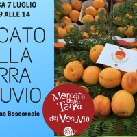 - Boscoreale: Mercato della Terra Vesuvio con la Giornata del 7 Luglio dedicata all’Albicocca. (Scritto da Antonio Castaldo)