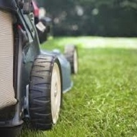 Macchine per giardinaggio: top delle vendite nel primo trimestre 2019