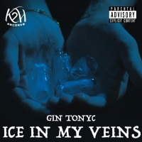 Il giovane rapper Gin Tonyc pubblica un video in inglese dal nome Ice in My veins