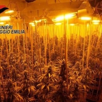 Scoperta una fabbrica di droga dei “narcos cinesi”: l’Emilia come il Colorado?