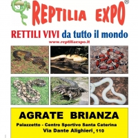 Reptilia Expo - l'affascinante mondo dei rettili