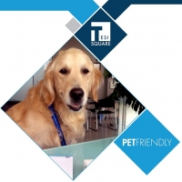 TESISQUARE® promuove l'ufficio Pet-Friendly 