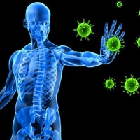 Come possiamo rafforzare le nostre difese immunitarie con i rimedi naturali?