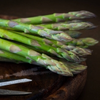 Qual è la stagione per la raccolta degli asparagi?