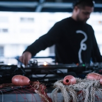 Musica elettronica e frittura di pesce: Fish & Djs inaugura il 2020 di Electropark